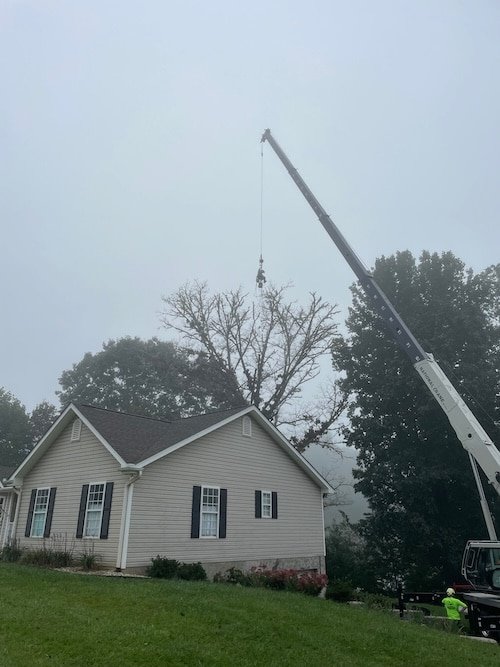 removing hendersonville tree above house