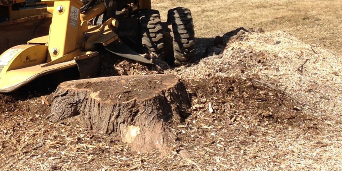 how long does it take to grind a tree stump